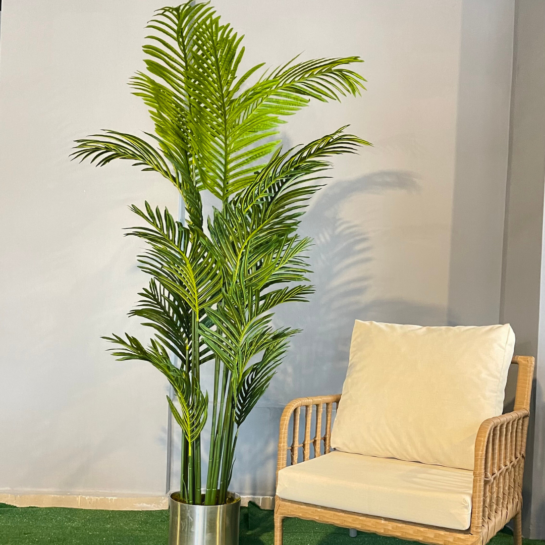 Yapay Areka 200cm
