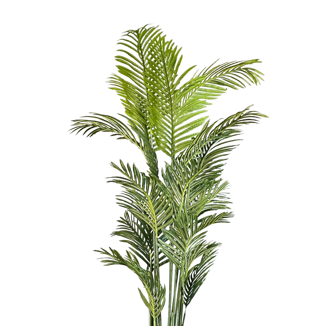 Yapay Areka 200cm