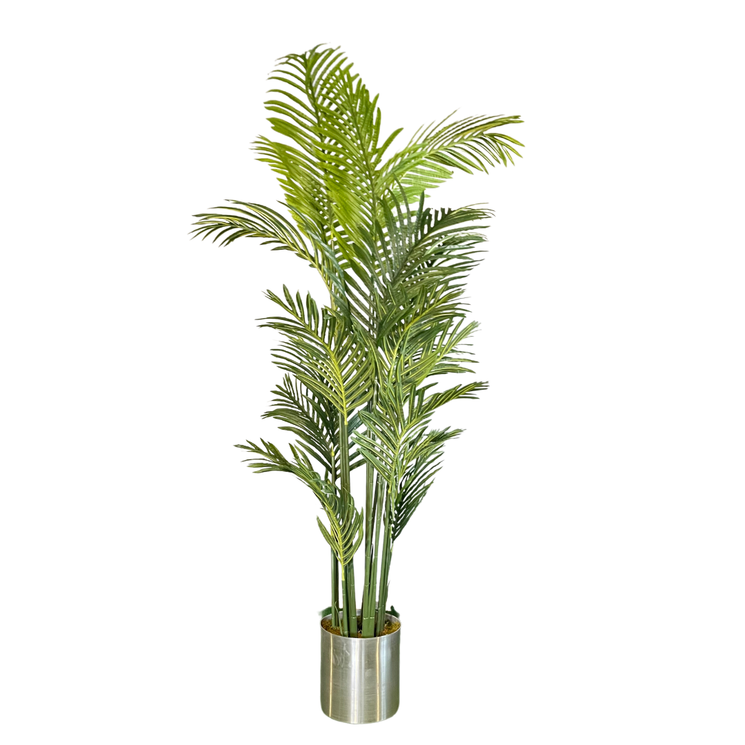 Yapay Areka 200cm