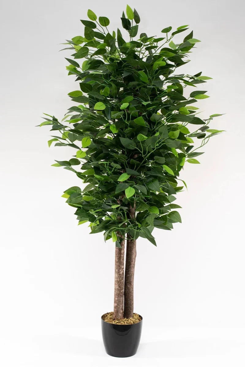 Yapay Benjamin Ağacı 120CM - MuunsDeco