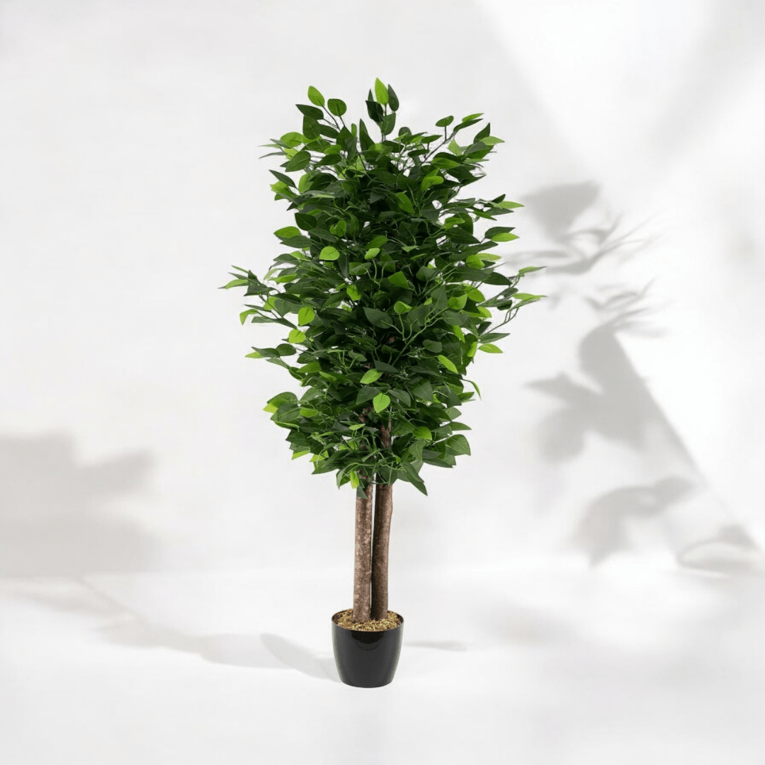Yapay Benjamin Ağacı 120CM - MuunsDeco