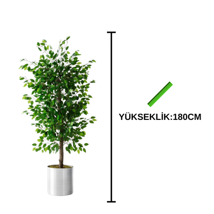 Yapay Benjamin Ağacı 180Cm