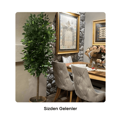 Yapay Benjamin Ağacı 200CM - MuunsDeco