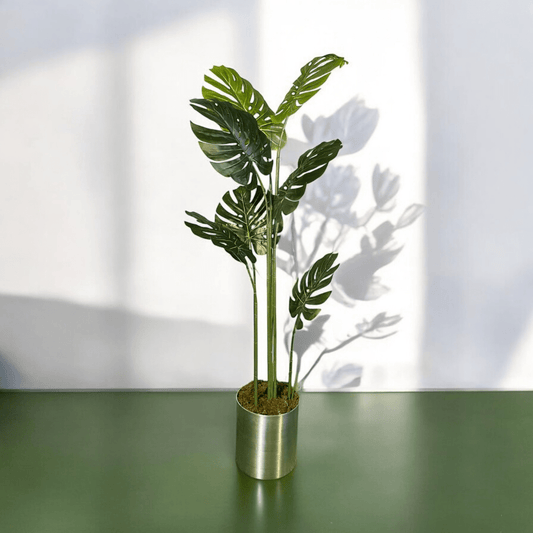 Yapay Monsterra Ağacı 180 Cm - MuunsDeco