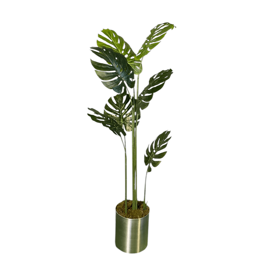 Yapay Monsterra Ağacı 180 Cm - MuunsDeco