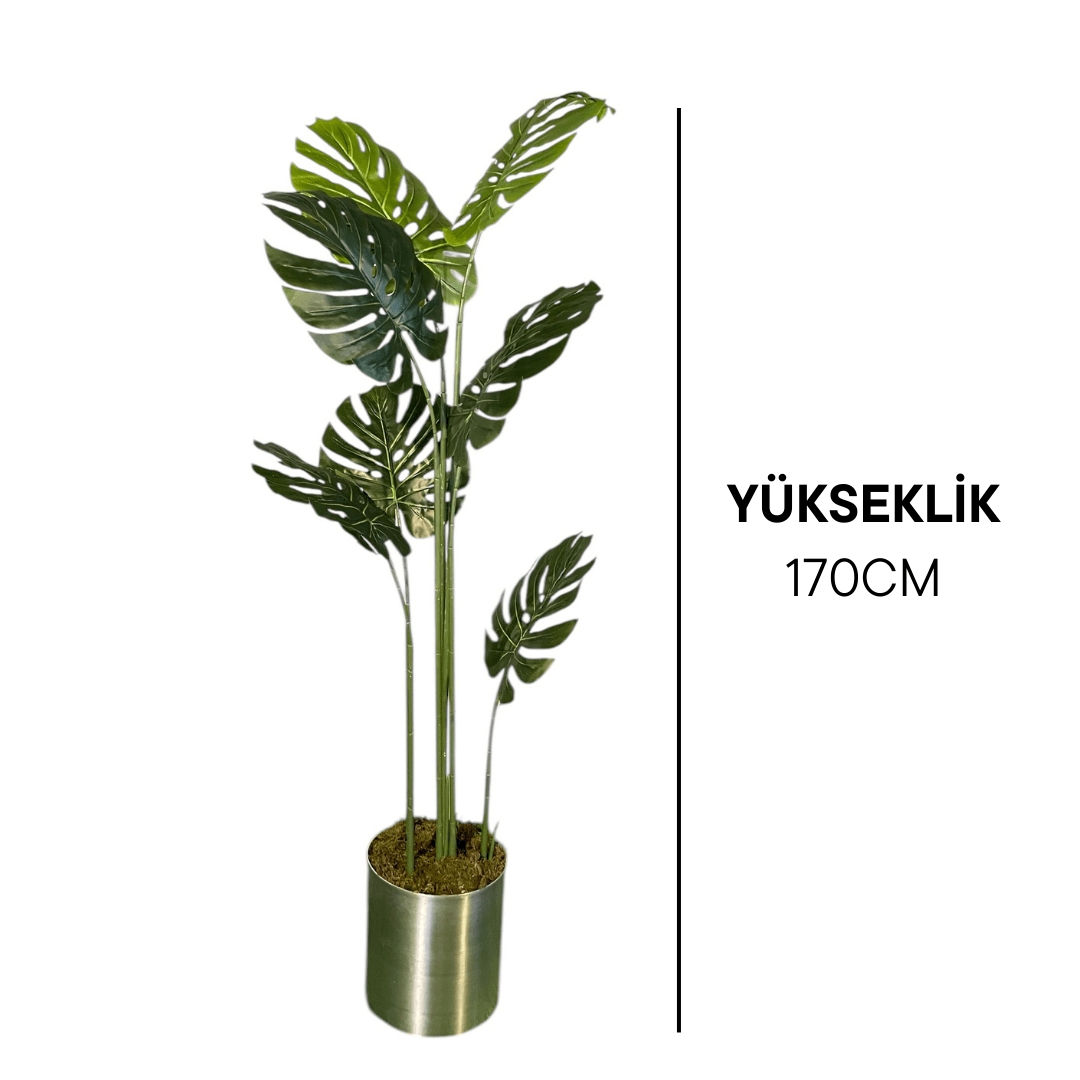 Yapay Monsterra Ağacı 180 Cm - MuunsDeco