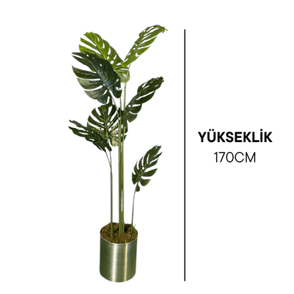 Yapay Monsterra Ağacı 180 Cm - MuunsDeco
