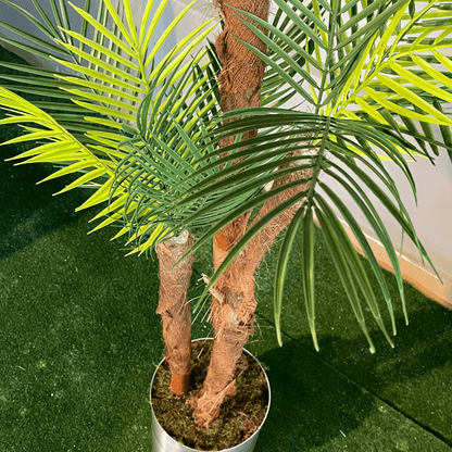 Yapay Palmiye Ağacı 180CM - MuunsDeco