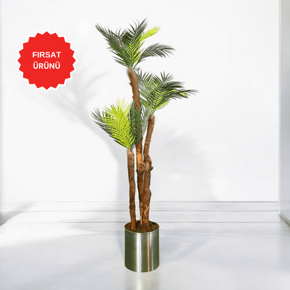 Yapay Palmiye Ağacı 180CM - MuunsDeco