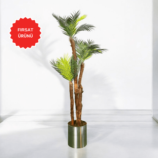 Yapay Palmiye Ağacı 180CM - MuunsDeco